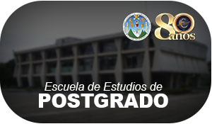 postgrado